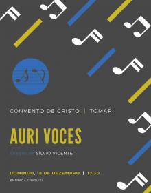 Auri Voces concerto 