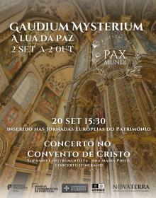 Gaudium Concerto 